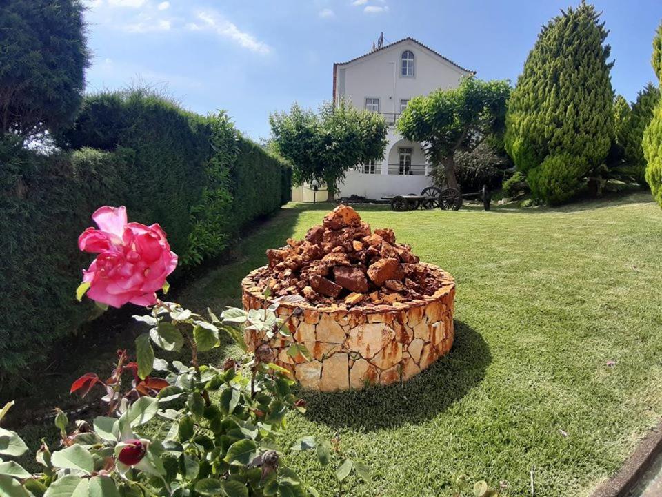 Hotel Quinta Do Viso Miranda do Corvo Kültér fotó